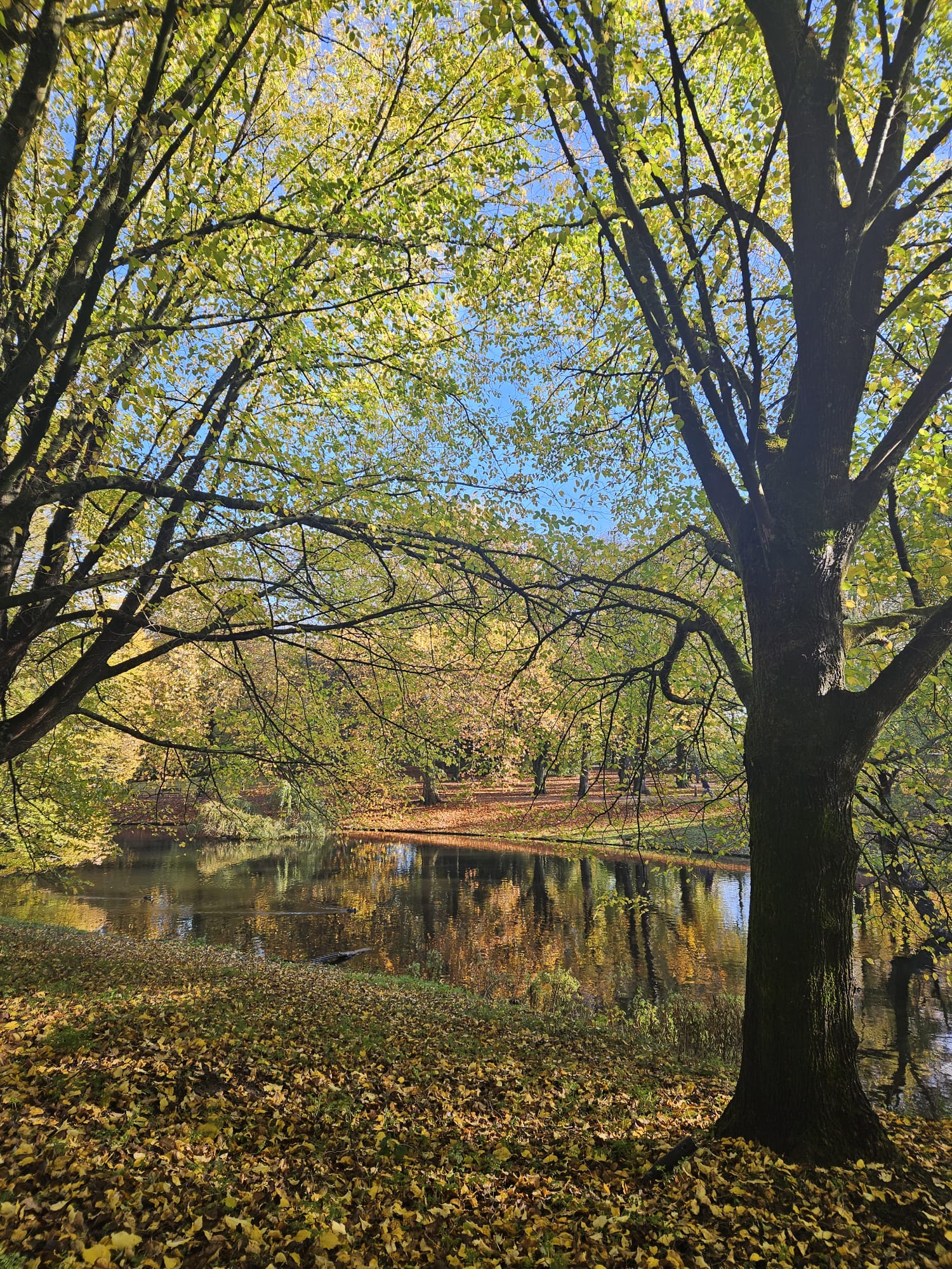 Noorderplantsoen